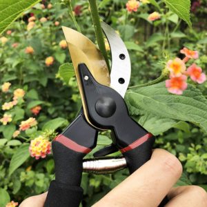 Garden Tools List