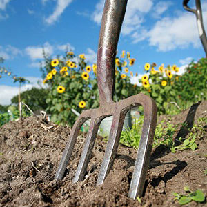 Garden Tools List