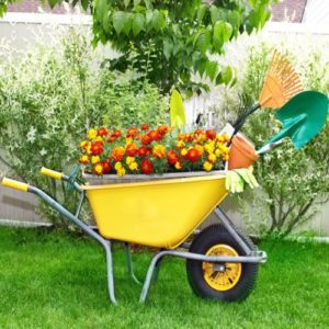 Garden Tools List