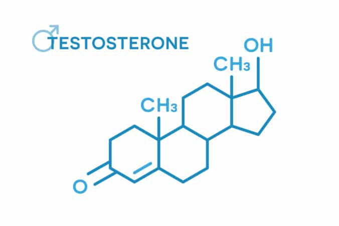 marked decrease of the male hormone testosterone